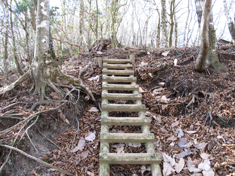 20161206hike (224)